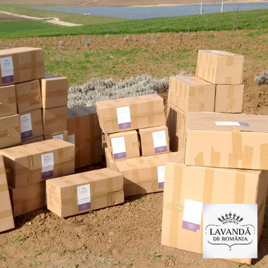 Lavandă de România transformă Banatul în Provence